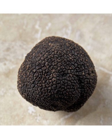 Truffe Noire du Périgord