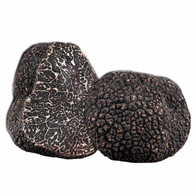 Brisures de truffes noires fraîches - Tuber Melanosporum