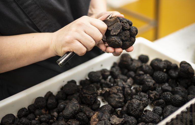 Secrets de truffes