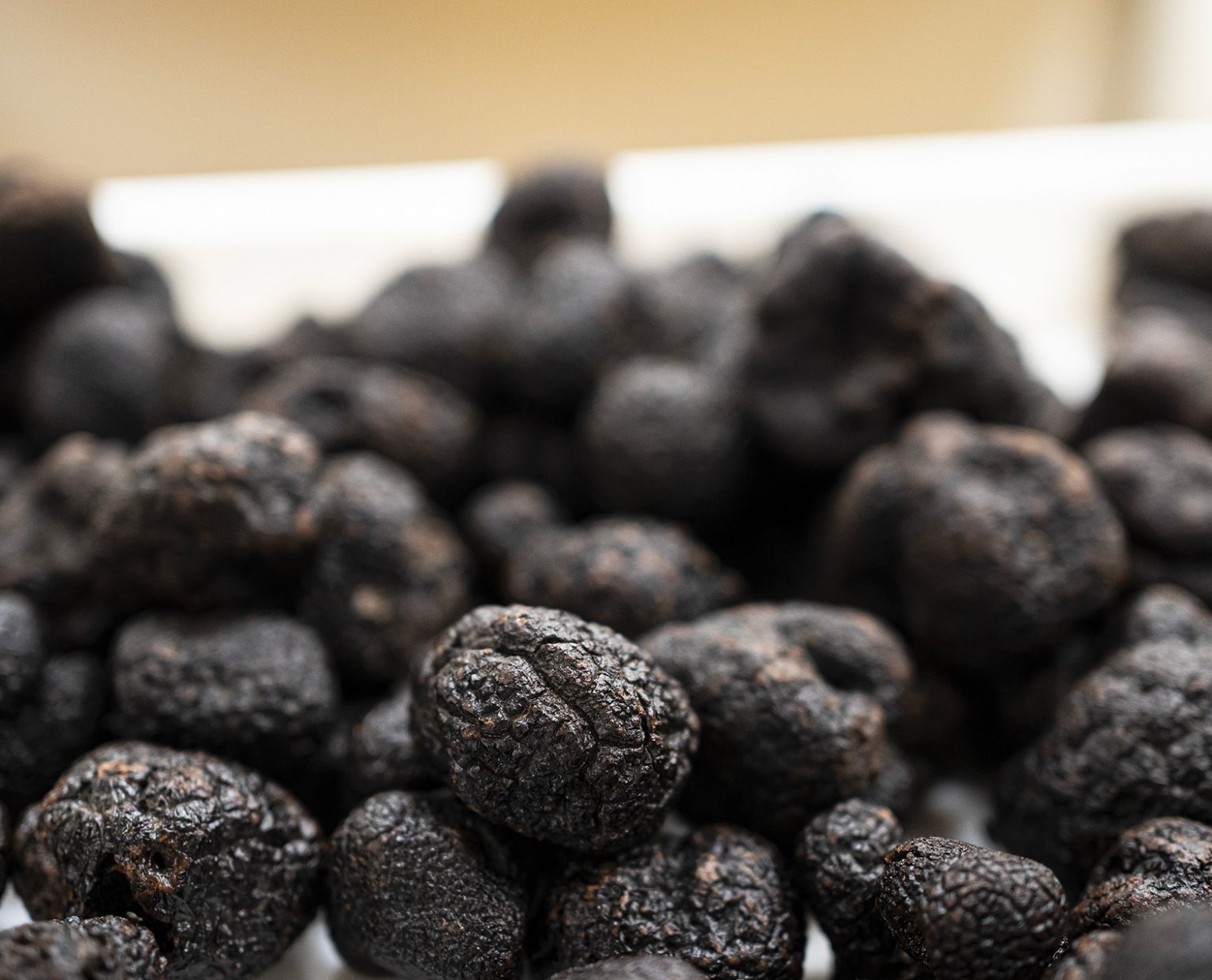 Processus de surgélation des truffes noires chez Plantin